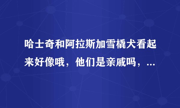 哈士奇和阿拉斯加雪橇犬看起来好像哦，他们是亲戚吗，怎样区别他们啊？？？