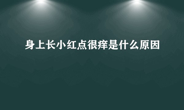 身上长小红点很痒是什么原因