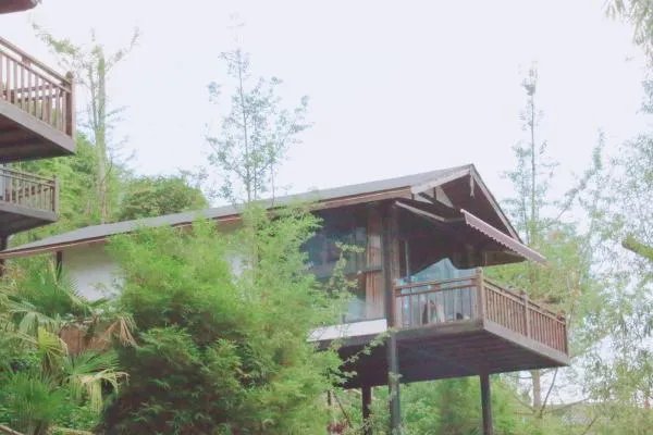 成都周边住宿有推荐吗？
