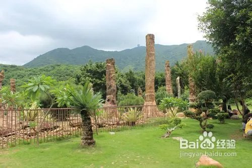 深圳仙湖植物园旅游攻略