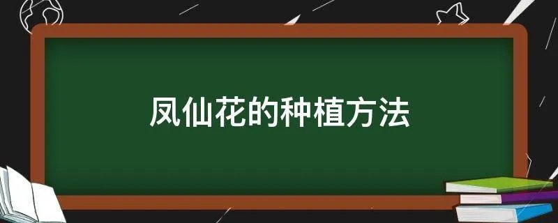 凤仙花的种植方法