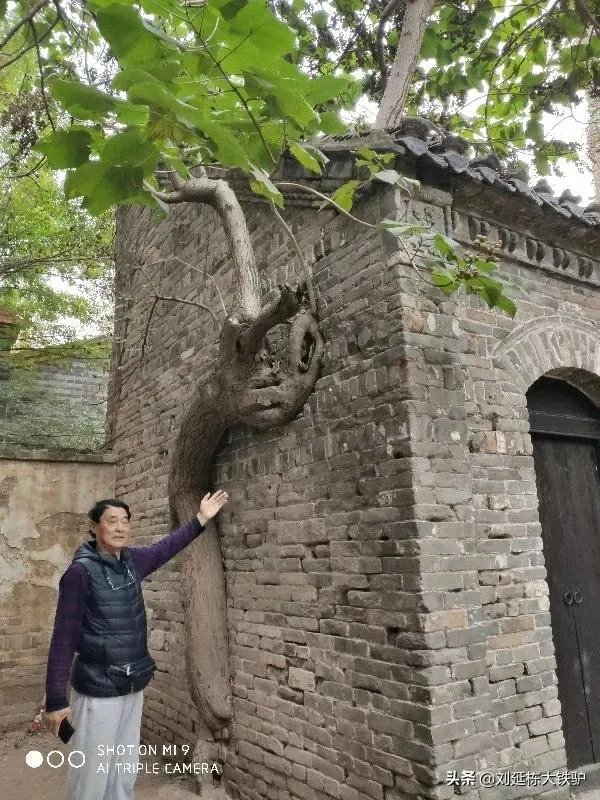 自行车爱好者去骑车旅行,准备个什么户外生存包较好?