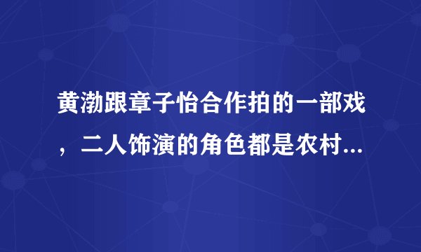 黄渤跟章子怡合作拍的一部戏，二人饰演的角色都是农村人的!戏的名字是什么？