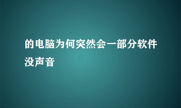 的电脑为何突然会一部分软件没声音