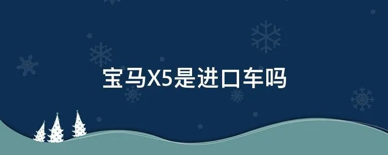宝马X5是进口车吗