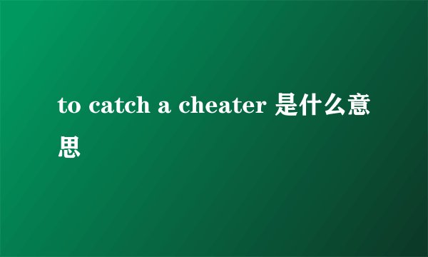 to catch a cheater 是什么意思
