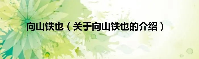 向山铁也（关于向山铁也的介绍）