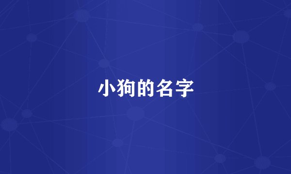 小狗的名字