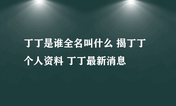 丁丁是谁全名叫什么 揭丁丁个人资料 丁丁最新消息