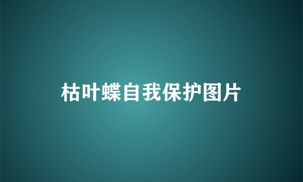 枯叶蝶自我保护图片