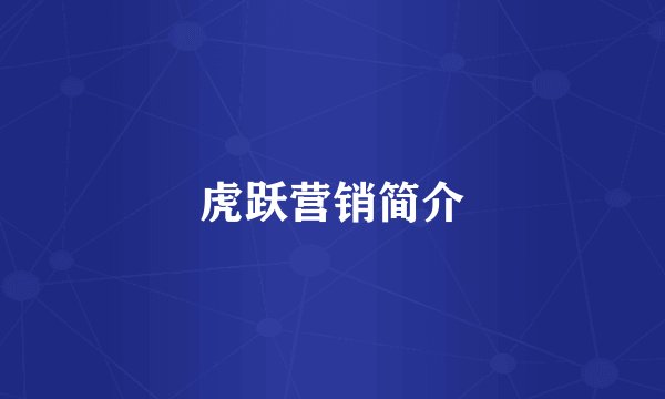 虎跃营销简介