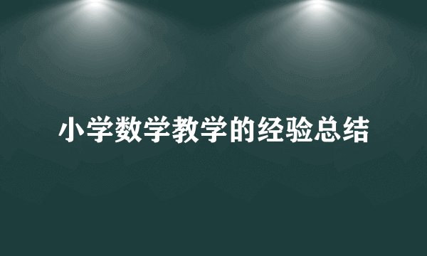 小学数学教学的经验总结