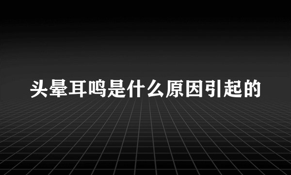 头晕耳鸣是什么原因引起的