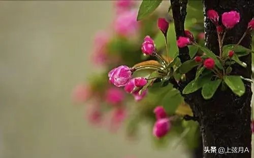 明天立春,你知道立春有哪些忌讳吗?