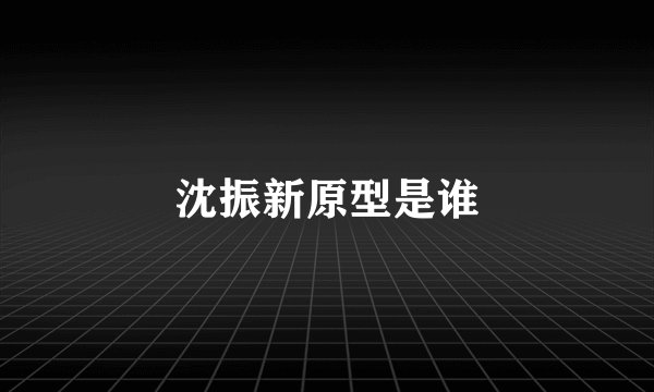 沈振新原型是谁