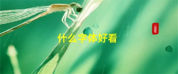 什么字体好看