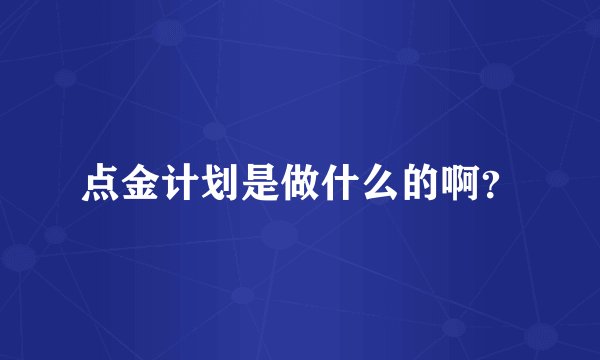 点金计划是做什么的啊？