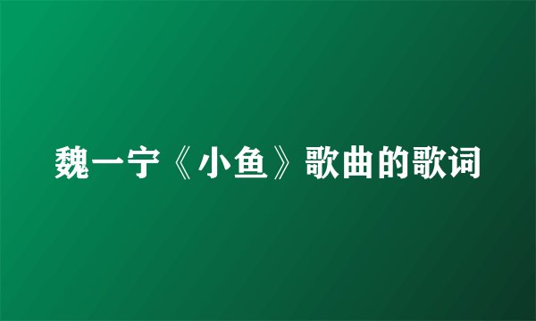 魏一宁《小鱼》歌曲的歌词