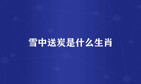 雪中送炭是什么生肖