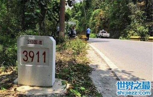 游客遭野象攻击,是去旅游还是去送命