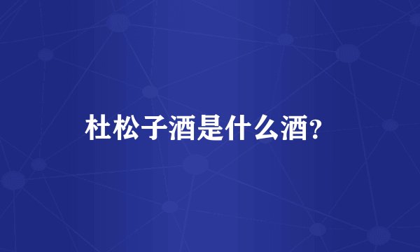 杜松子酒是什么酒？