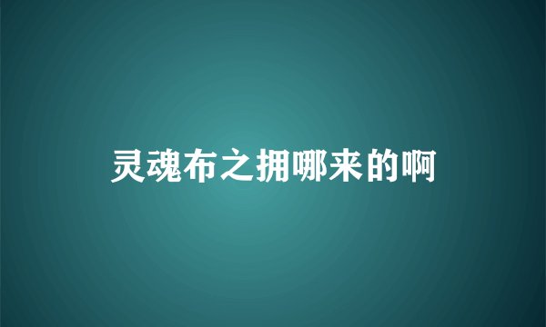 灵魂布之拥哪来的啊