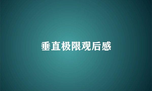 垂直极限观后感