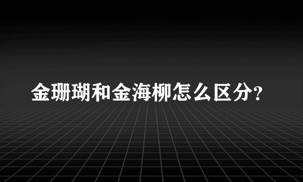 金珊瑚和金海柳怎么区分？