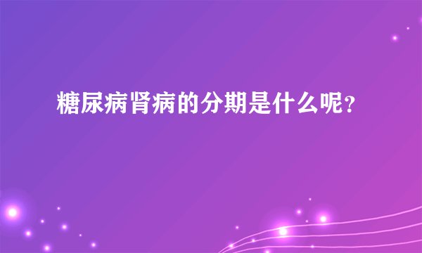 糖尿病肾病的分期是什么呢？