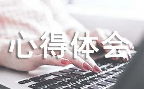 实训心得体会