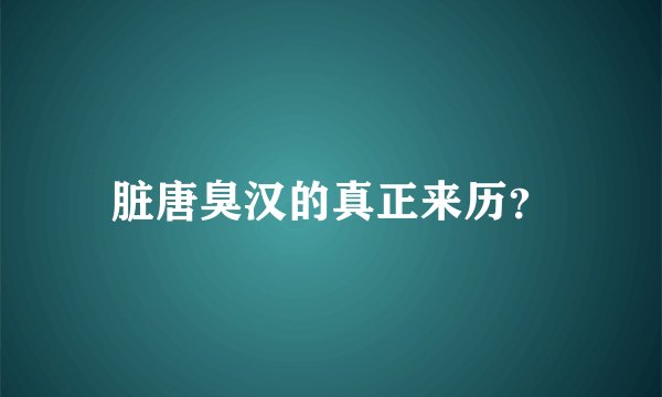 脏唐臭汉的真正来历？