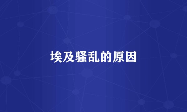 埃及骚乱的原因