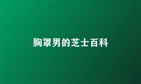 胸罩男的芝士百科