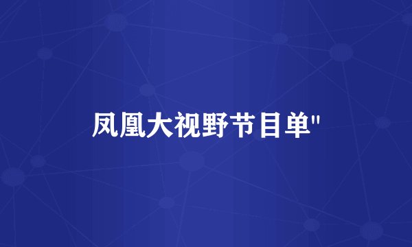 凤凰大视野节目单