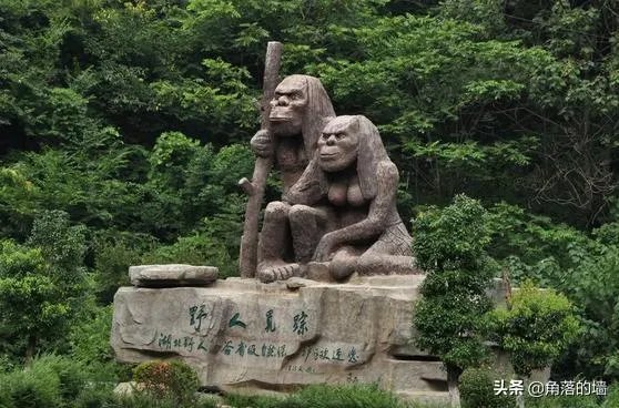 神农架野人照片真实吗?