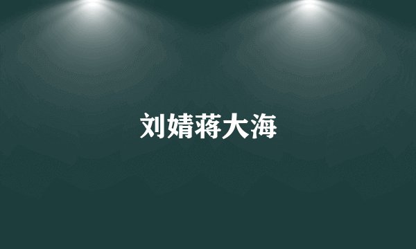 刘婧蒋大海