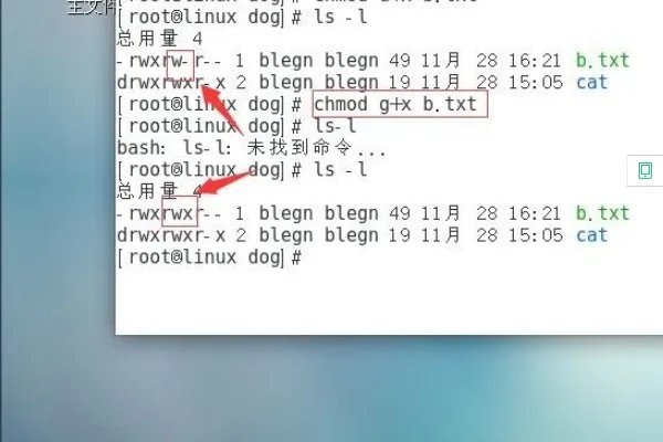 CHMOD命令怎么用?