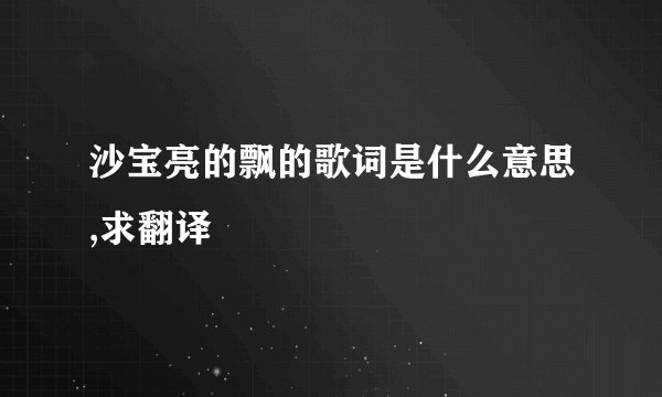 沙宝亮的飘的歌词是什么意思,求翻译