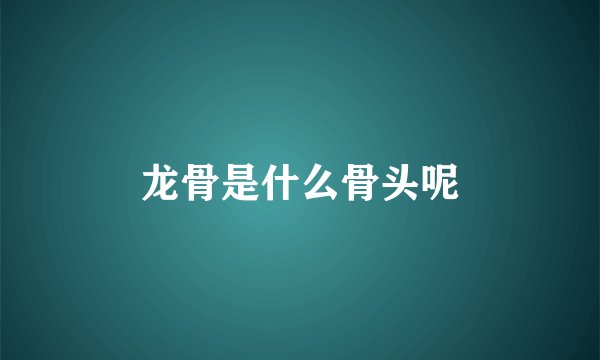 龙骨是什么骨头呢