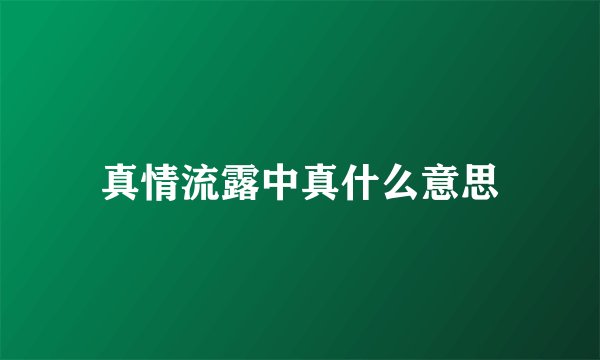 真情流露中真什么意思