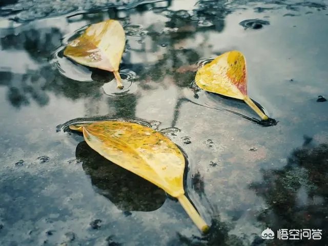 阴雨天如何拍出好照片？