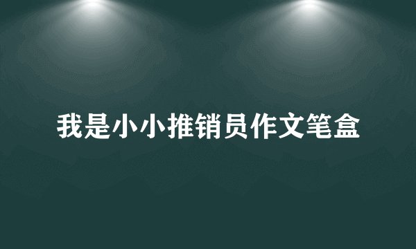 我是小小推销员作文笔盒