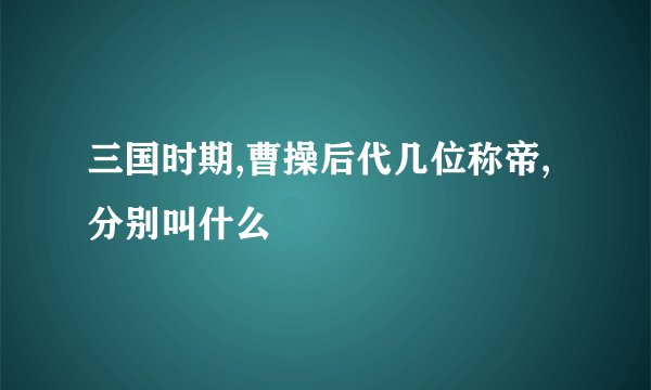 三国时期,曹操后代几位称帝,分别叫什么