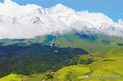 青海祁连山再次出现环境破坏事件,为什么还有人顶风作案?