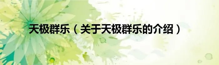 天极群乐（关于天极群乐的介绍）