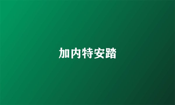 加内特安踏