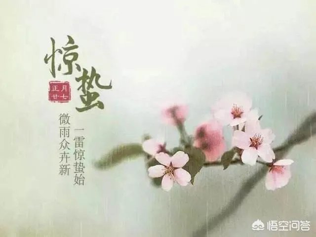 惊蛰是什么意思？