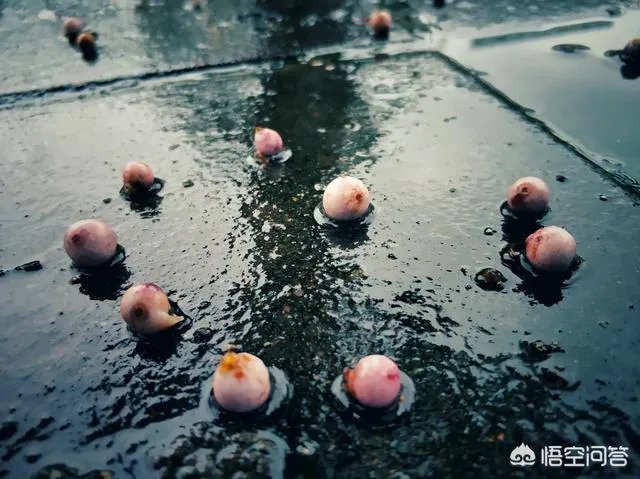 阴雨天如何拍出好照片？
