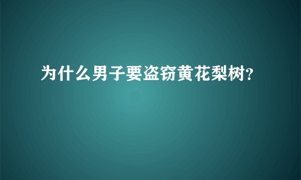 为什么男子要盗窃黄花梨树？