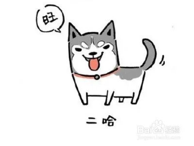 怎么画出呆萌的哈士奇？
